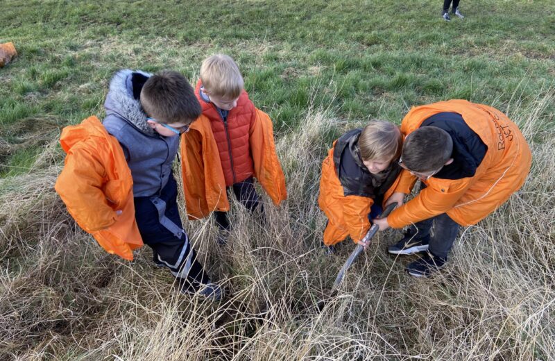 Planting trees on Fenton road