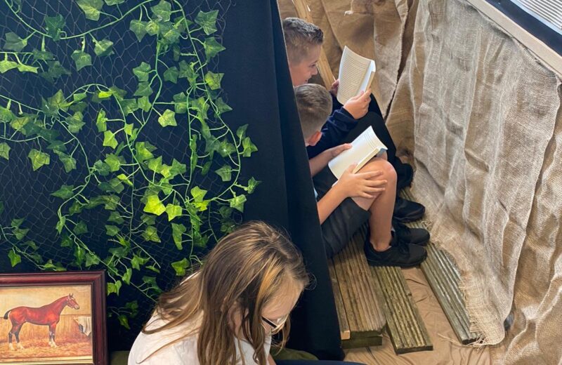 Year 6 Enjoying Guided Reading