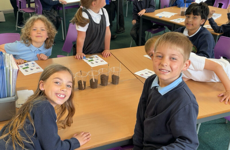 Exploring how plants grow in 2WB