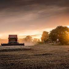 Harvest Festival 2021