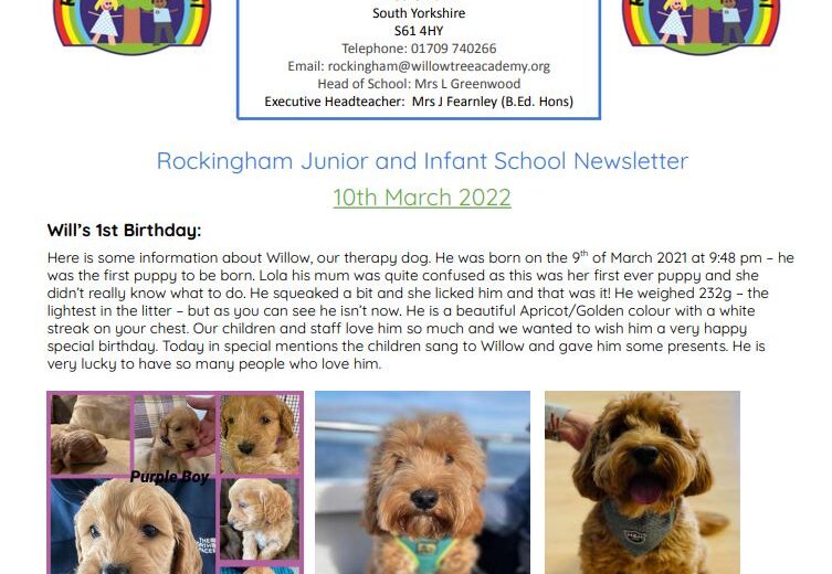 Newsletter 11.03.22