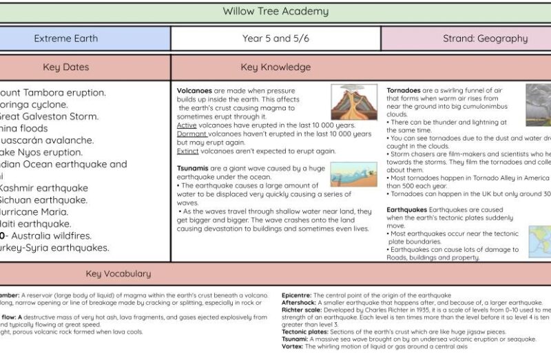Summer Term – Let the Learning Commence