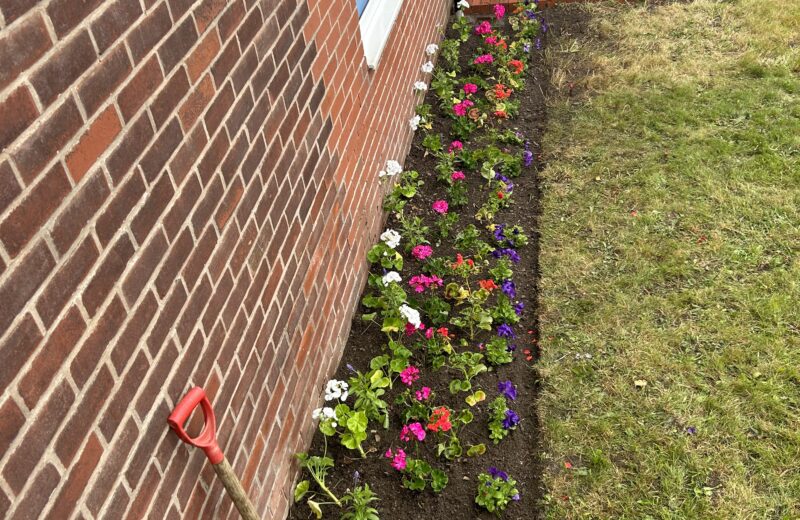 Environment Club Planting.