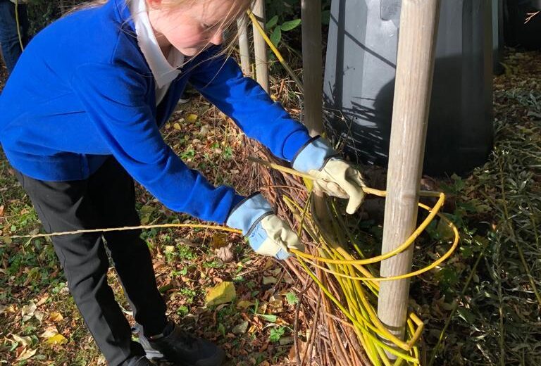 Willow Weaving – Environment Club