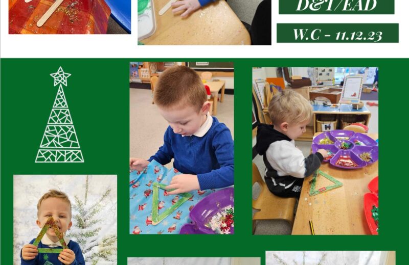 D&T/EAD – making Christmas trees – REY 🎄