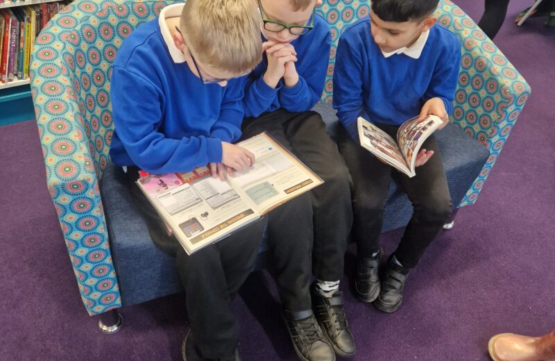 Y3/4D Vist the Library