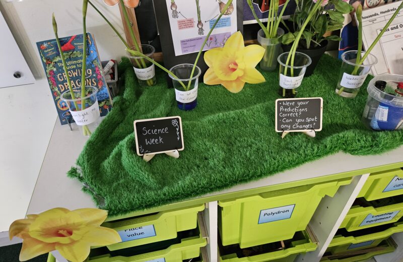 Science week
