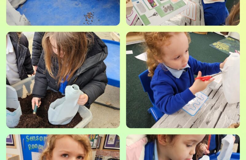 F1- Planting seeds for Science week