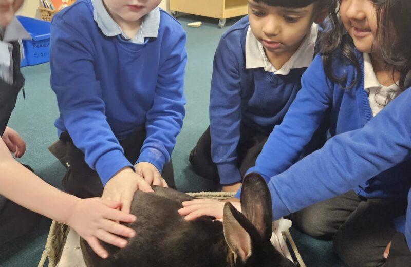 F1- Learning about Mini Beasts