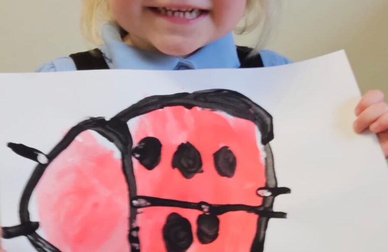 Ladybird Art