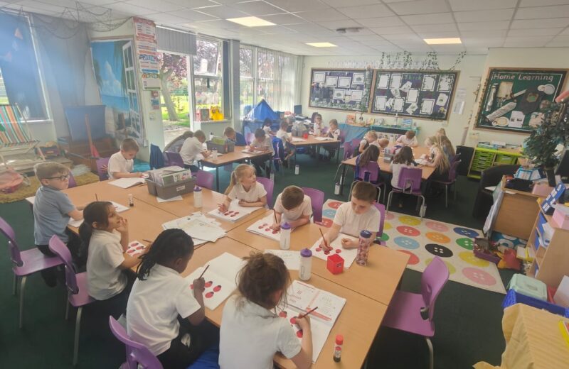 Ladybird 🐞 finding fractions of amounts