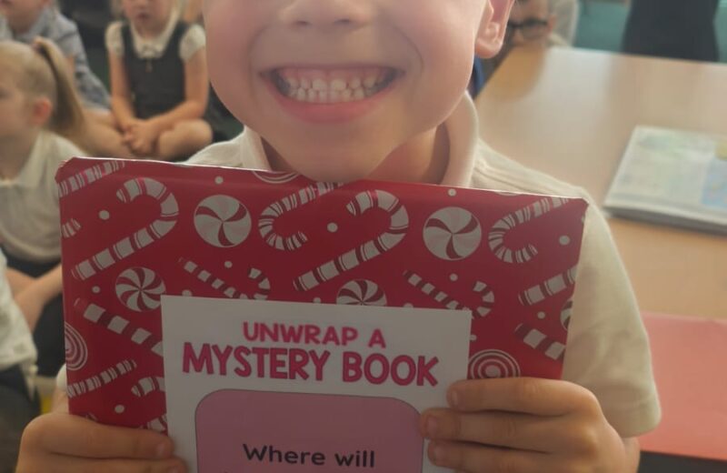 Mystery Books in Y1S