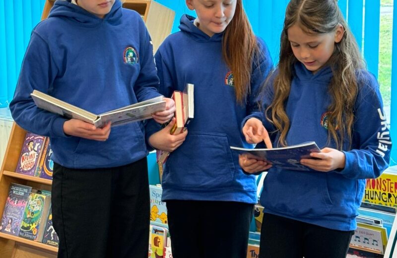 Y5/6P Visit the Library