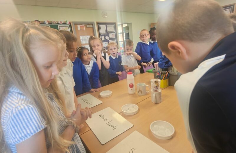 Ice Investigation Y1/2S