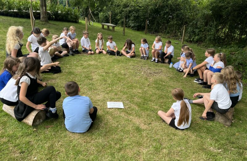 P4C – The Giving Tree