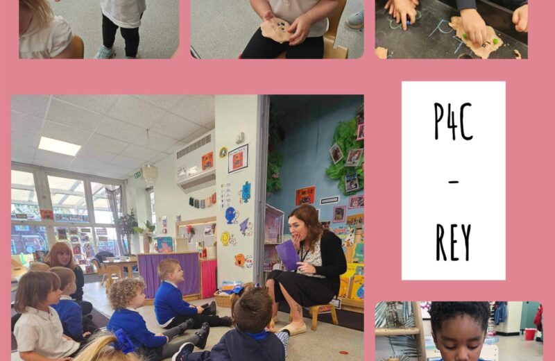 REY – P4C – Our perfect people