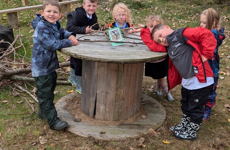 KS1 Forest School Interventions –  A Day of Dens, Expectations, and Exploration