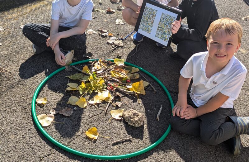 Y3T Forest School – William Morris Recreation