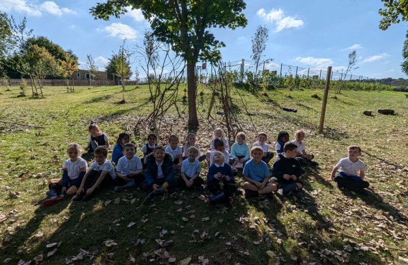 Y1/2S Forest School – Science