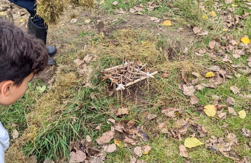 Forest School Interventions – Hedgehog Hotels