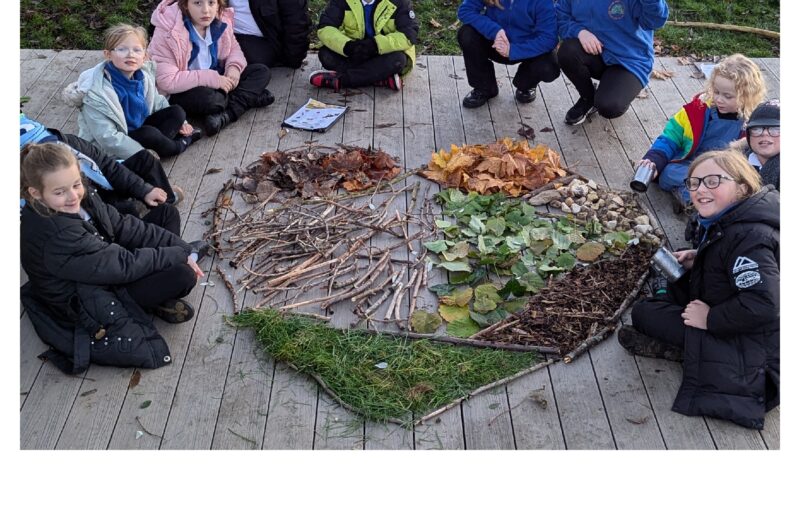 Forest School After School Club