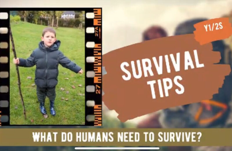 Human Survival Y1/2S Explain