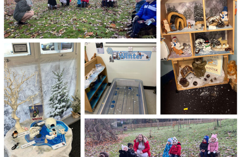 Squirrel’s Snowman – REY
