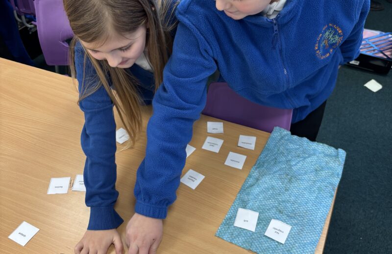4/5WH Science – Comparing properties of materials