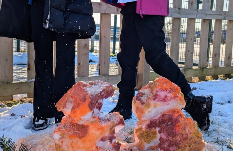 Forest School – Ice Sculptures