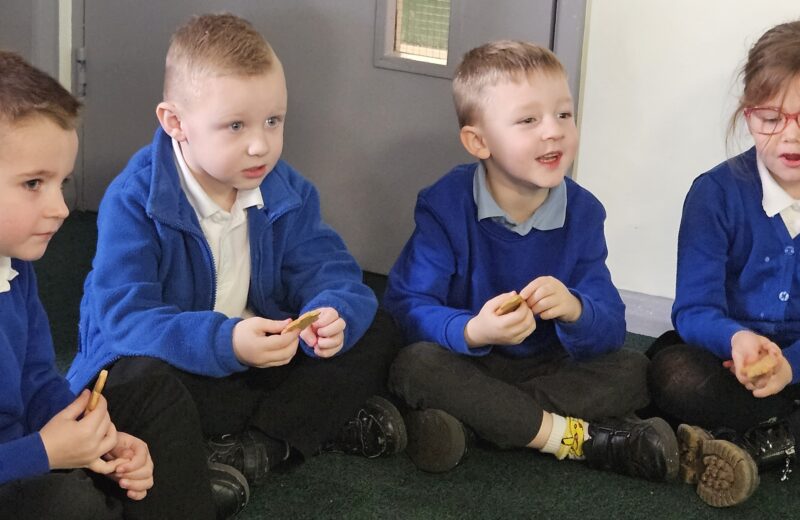 Science – 5 senses