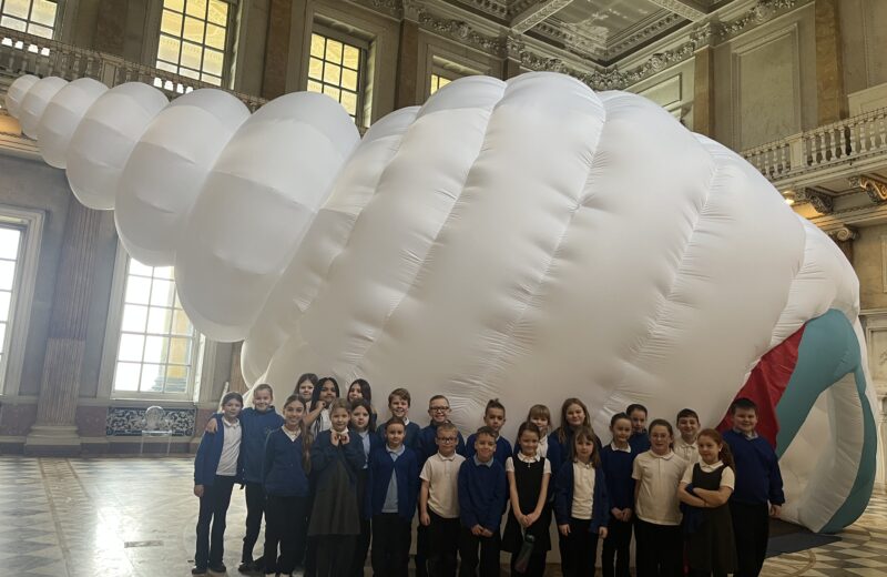 Story shell at Wentworth