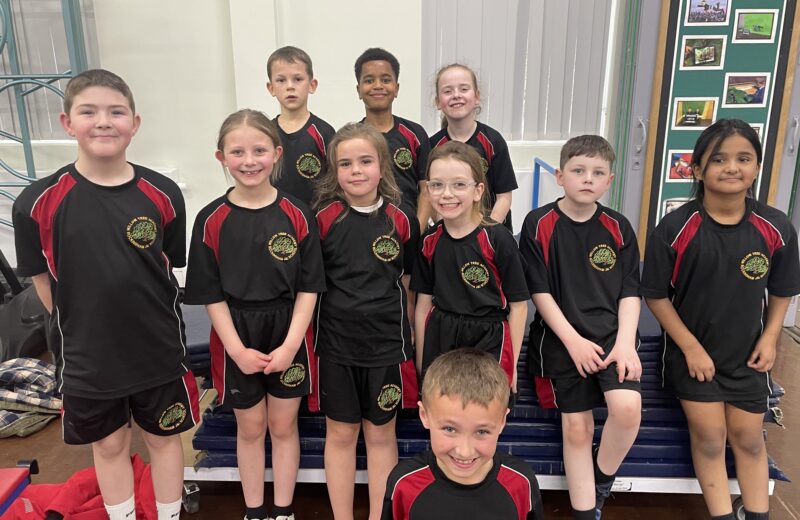 Dodgeball blast- sports event