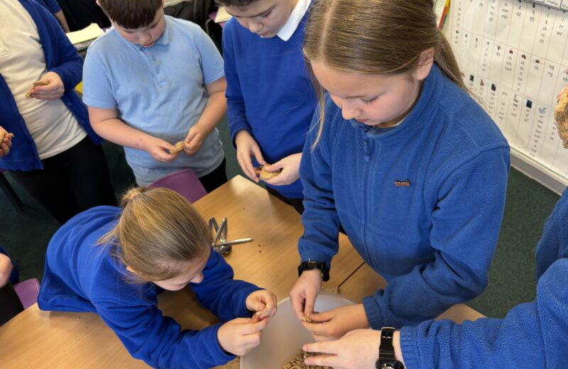 4/5WH DT – Healthy Gingerbread