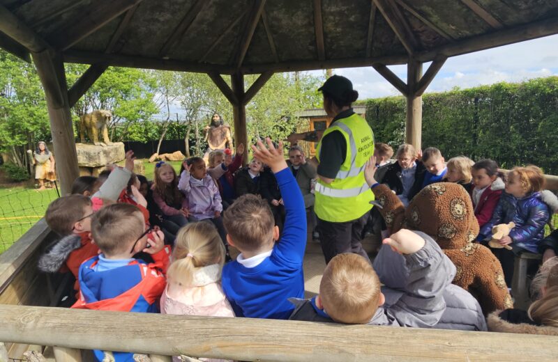 F2 – Trip to the butterfly house.