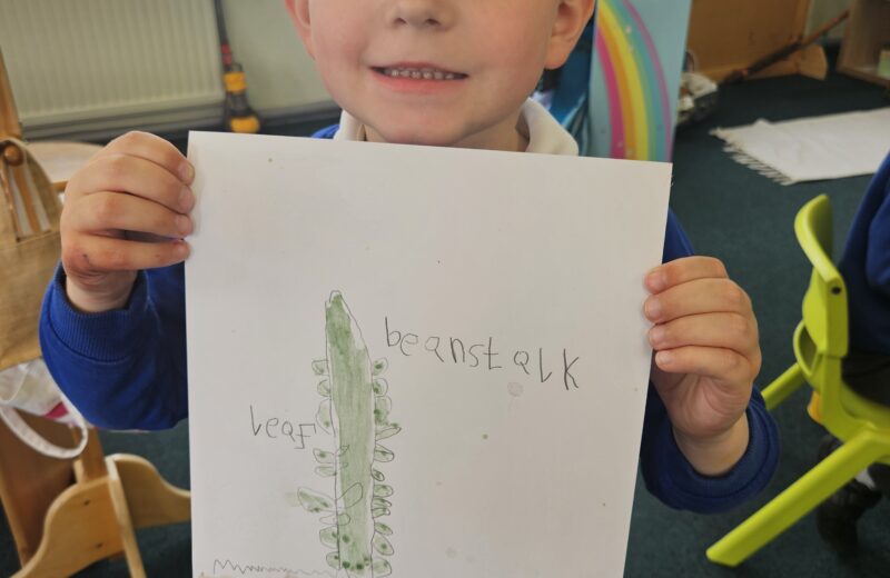 F2 – Literacy / EAD -Drawing and labelling a beanstalk
