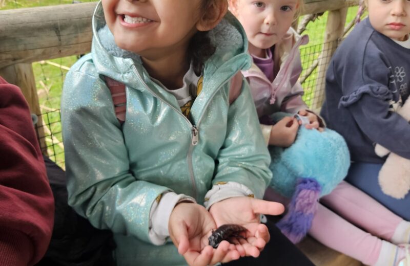 F1/2 – Our class trip to the Butterfly House