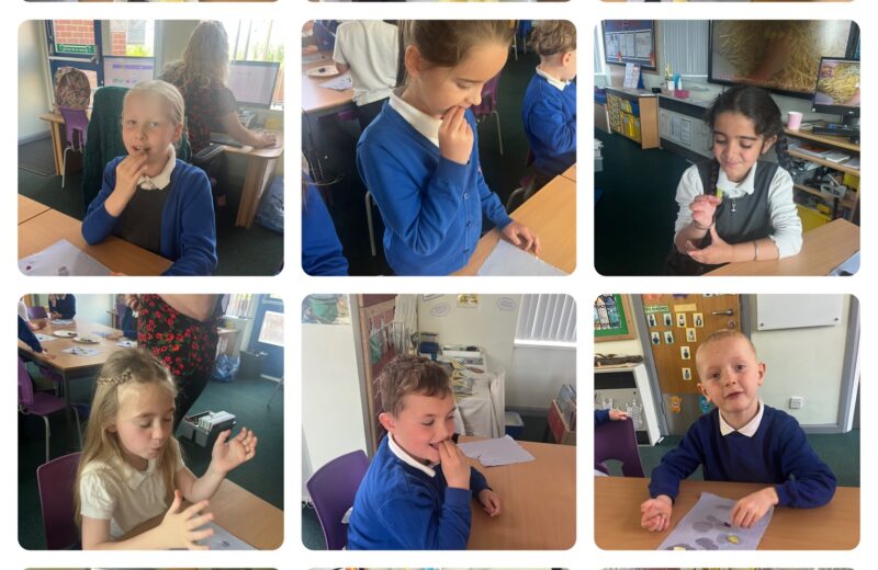 2S – Fruit and Veg Tasting 🥝🥑🍍