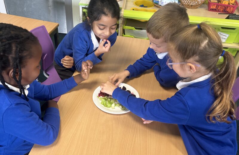 Y1/2O Healthy food tasting