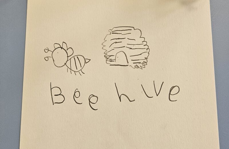 Art-  Bee artwork in f2