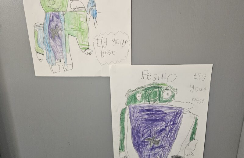 PSED- being Resilient in F2