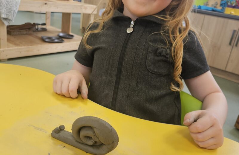 F2 Clay Insects