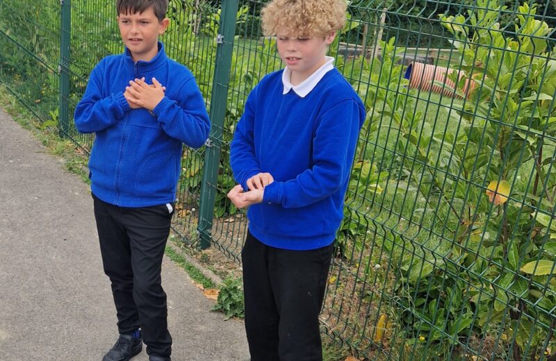 Beats Per Minute Investigation 5/6D