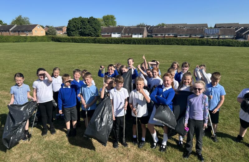 3T litter picking