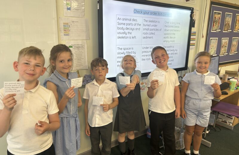 3T – Fossilisation