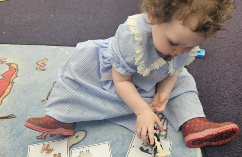 REY – Maths – animal counting and matching