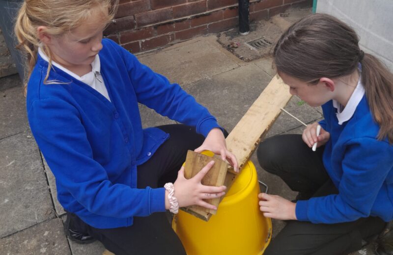Environment Club