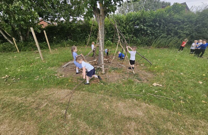 F1/2 Forest School