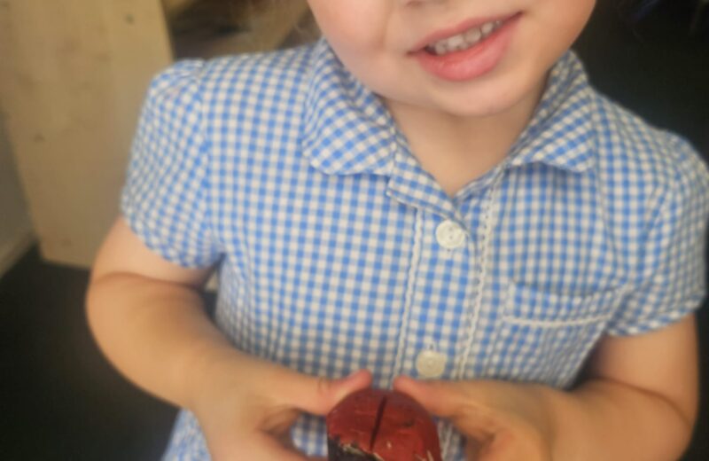 F1/2 – Making Clay Ladybirds