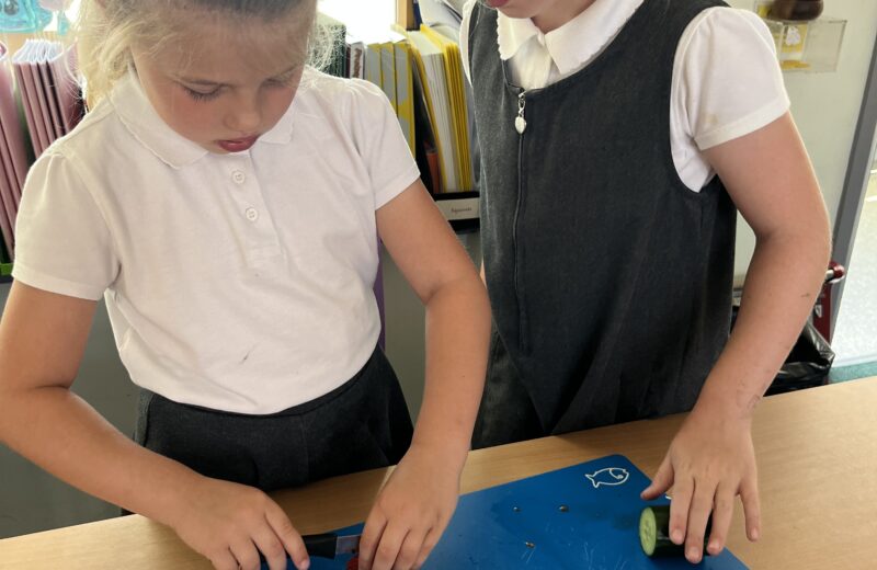 Y2S Chopping skills