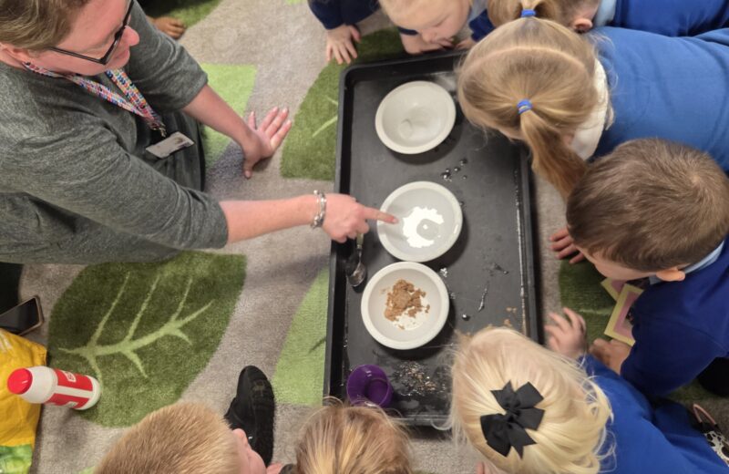 F1/2 – Science Experiment.